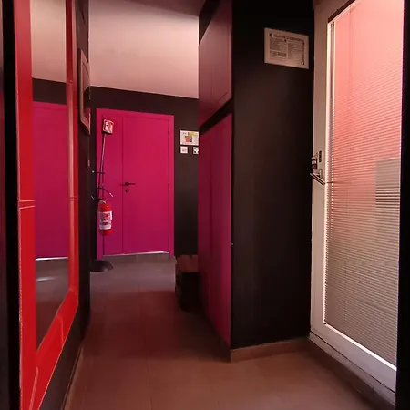 Solaris Guest house